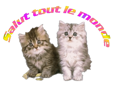 chatons